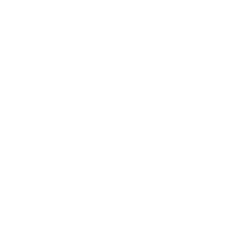 Shanley Ten Eyck